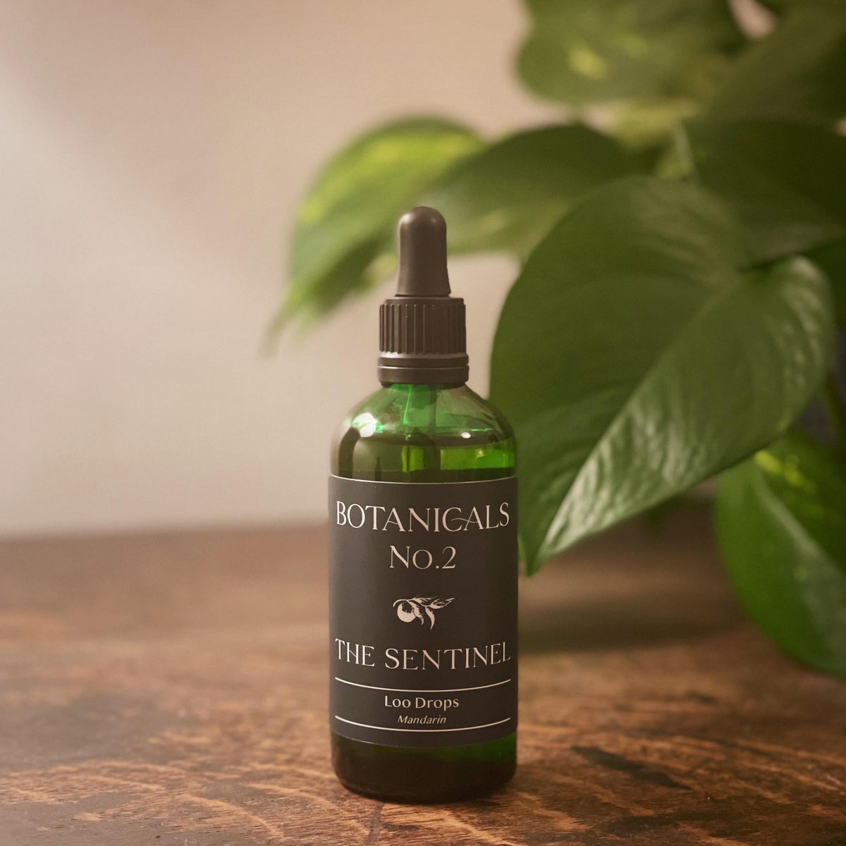 The Sentinel 100ml – Botanicals No2